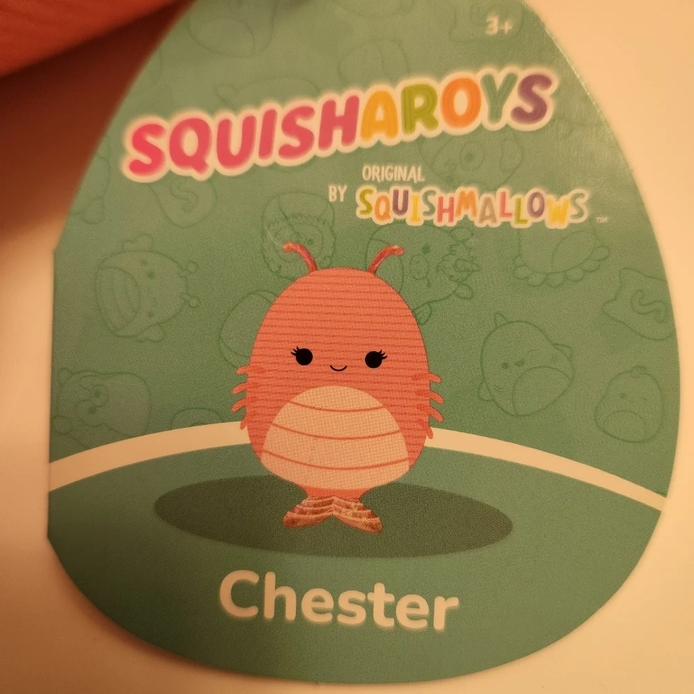 Chester - Picture 4 of 6